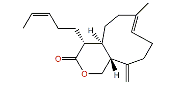 Isoacalycixeniolide A